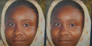 The Killer Boyfriend